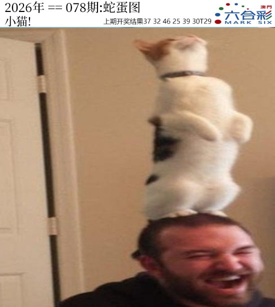 078期正版蛇蛋图[图]