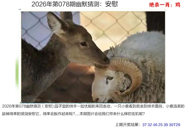 078期幽默猜测[图]